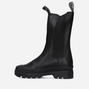 Дамска бота